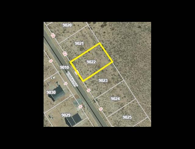 LAND FOR SALE IN HARBOUR LIGHTS